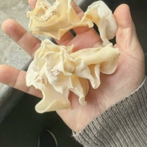 白玉木耳电商用户食堂用户展销用户直播带货用户