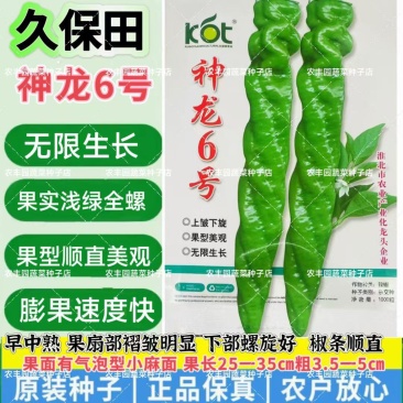 神龙6号螺丝椒种子全螺无限生螺丝椒种子果实浅绿产高产辣椒