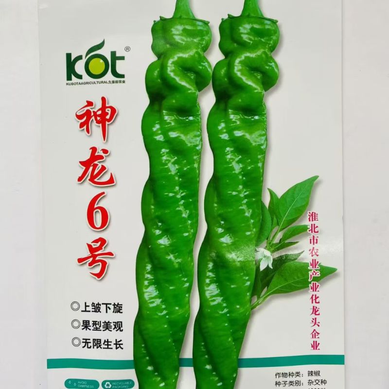 神龙6号螺丝椒种子全螺无限生螺丝椒种子果实浅绿产高产辣椒