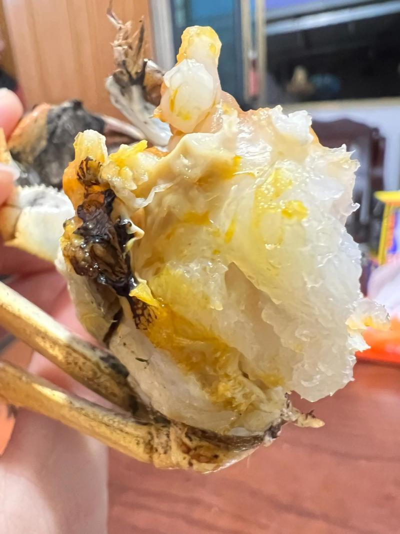 精品大闸蟹38规格7两公蟹6两母蟹批发零售礼盒代发包邮