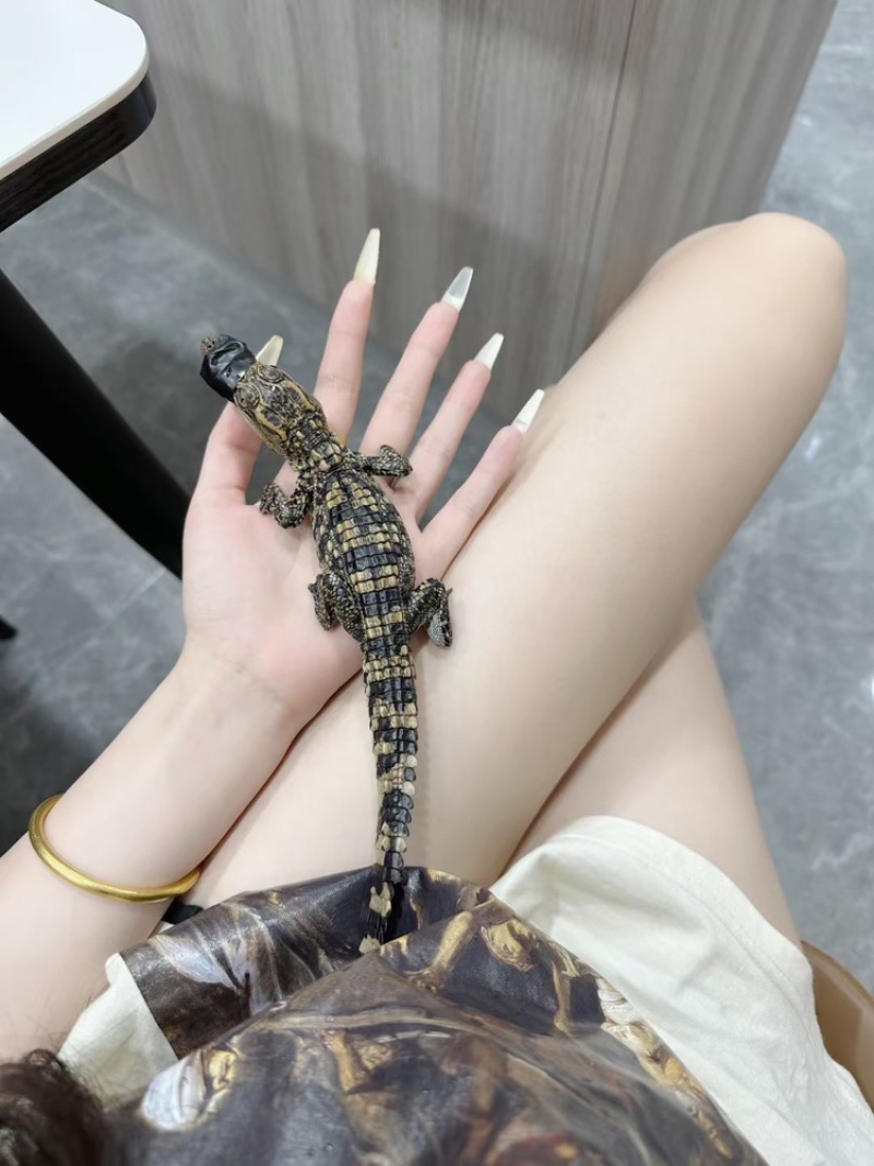 专业人工养殖