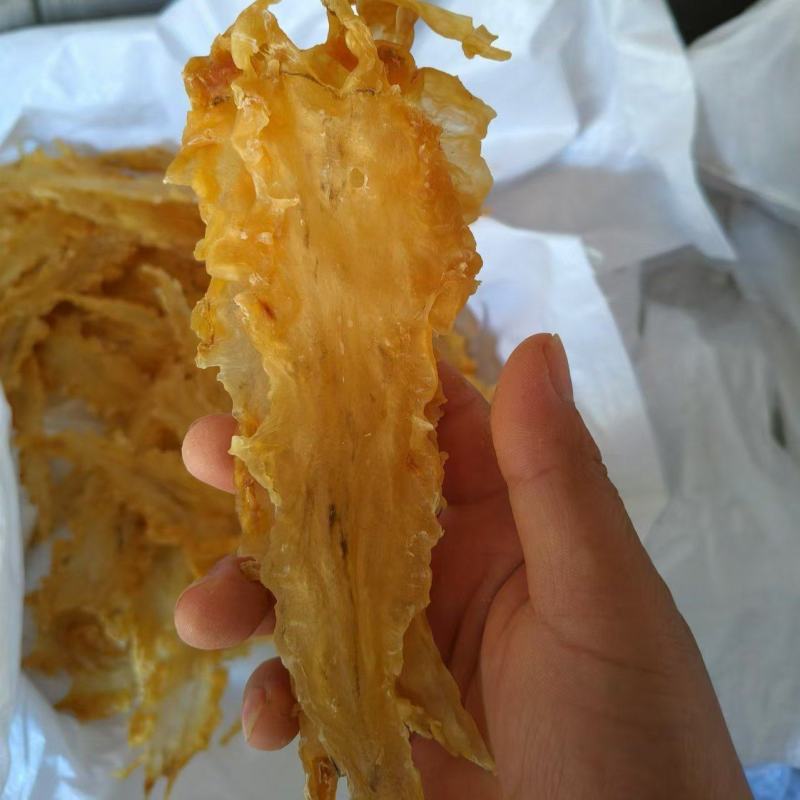 青岛鳕鱼花胶，货源充足，价格美丽，性价比高