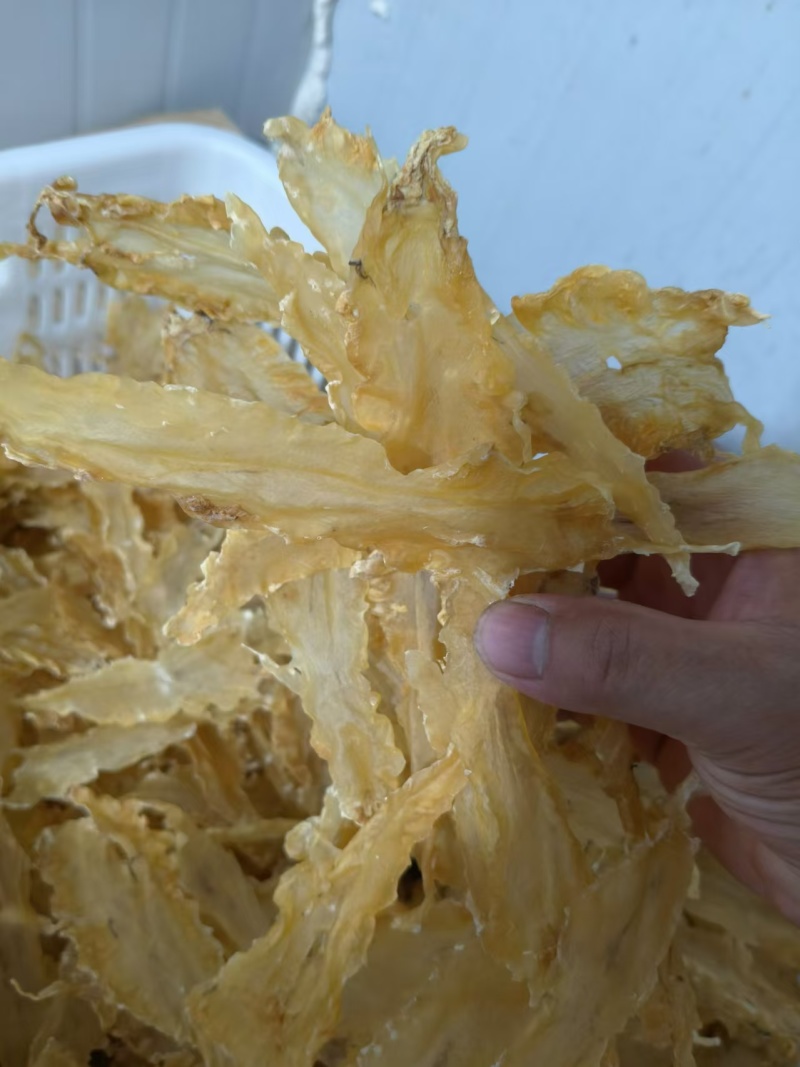 青岛鳕鱼花胶，货源充足，价格美丽，性价比高