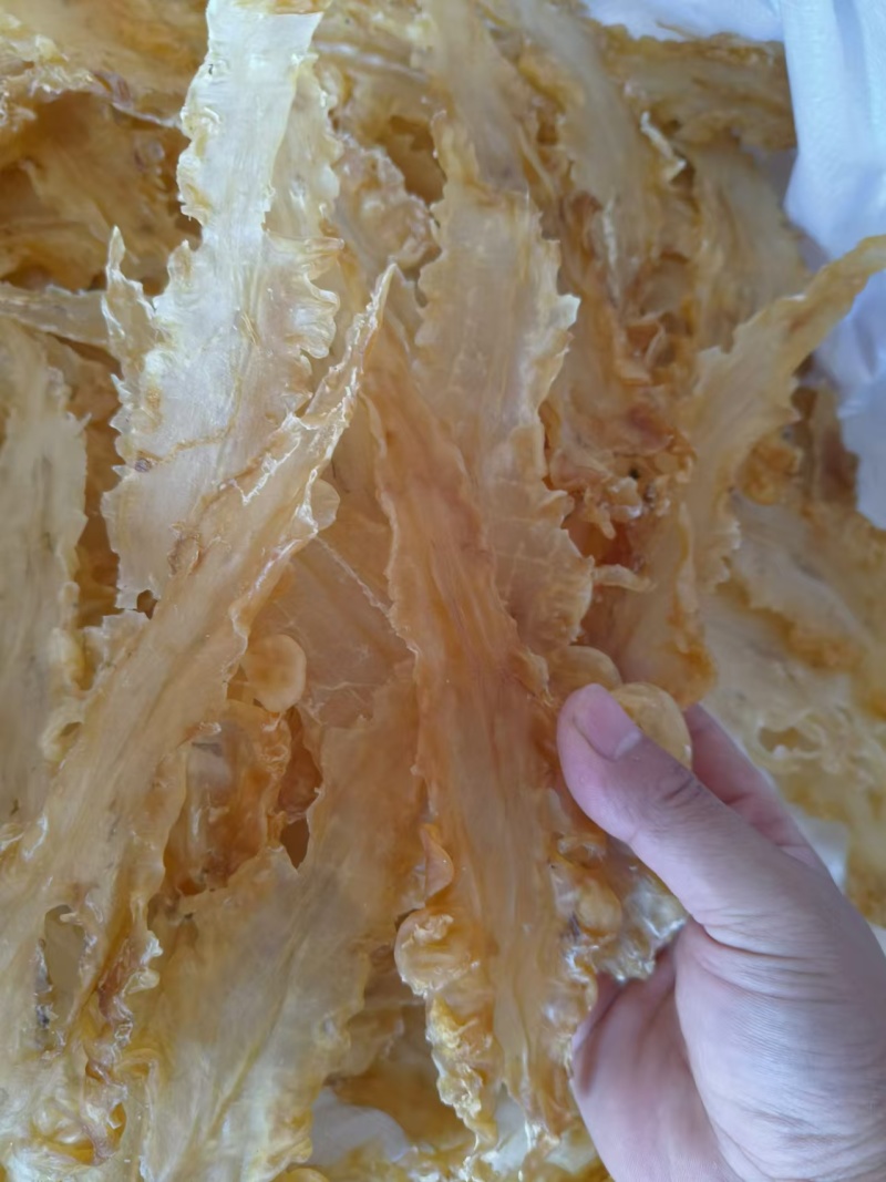青岛鳕鱼花胶，货源充足，价格美丽，性价比高