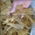 青岛鳕鱼花胶，货源充足，价格美丽，性价比高