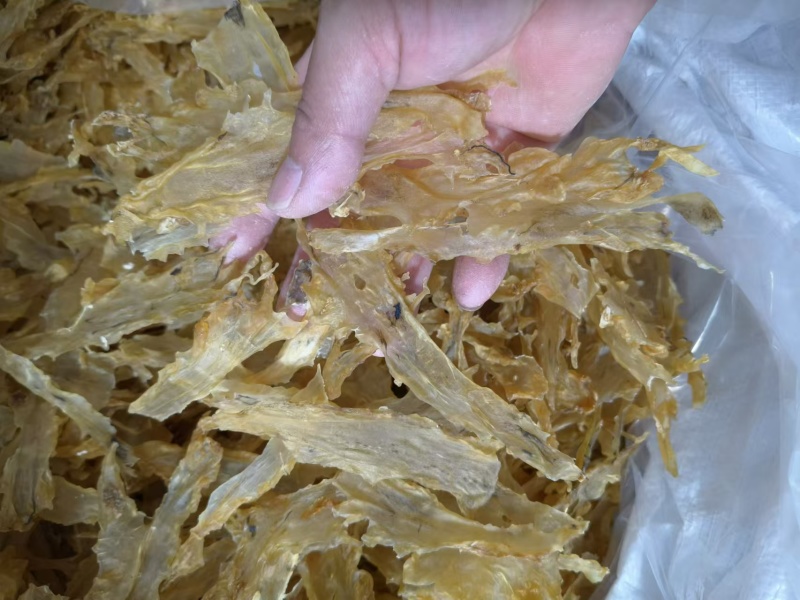 青岛鳕鱼花胶，货源充足，价格美丽，性价比高