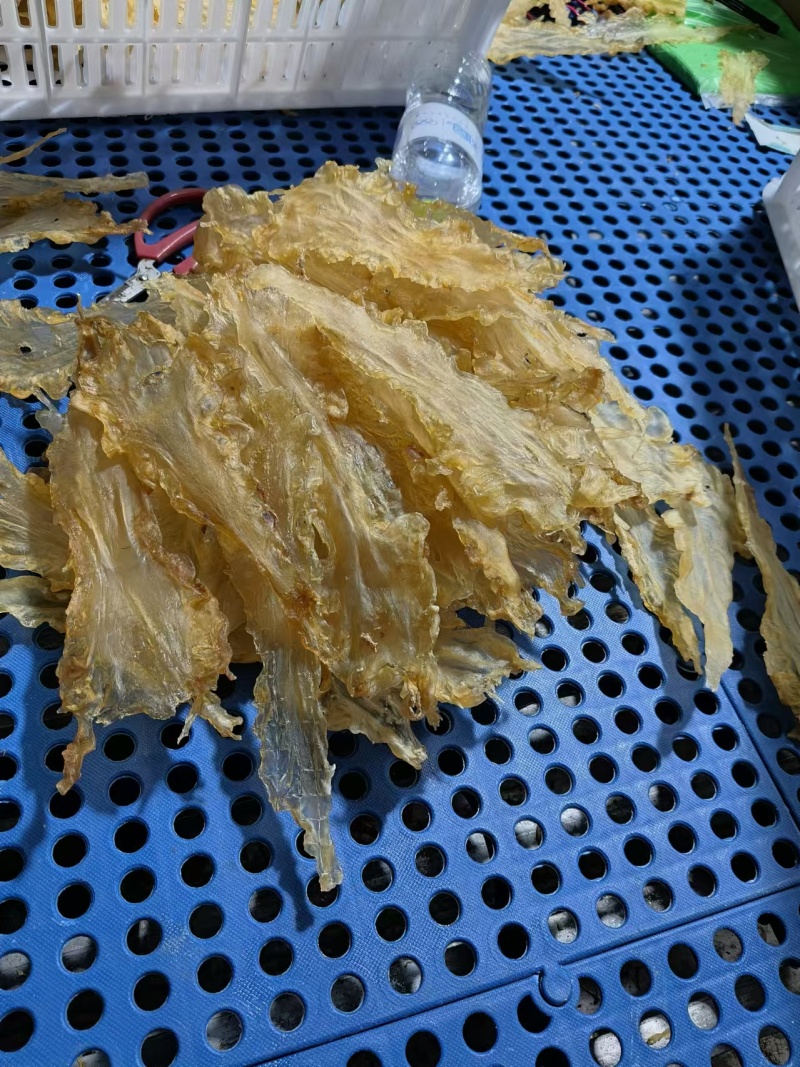 青岛鳕鱼花胶，货源充足，价格美丽，性价比高
