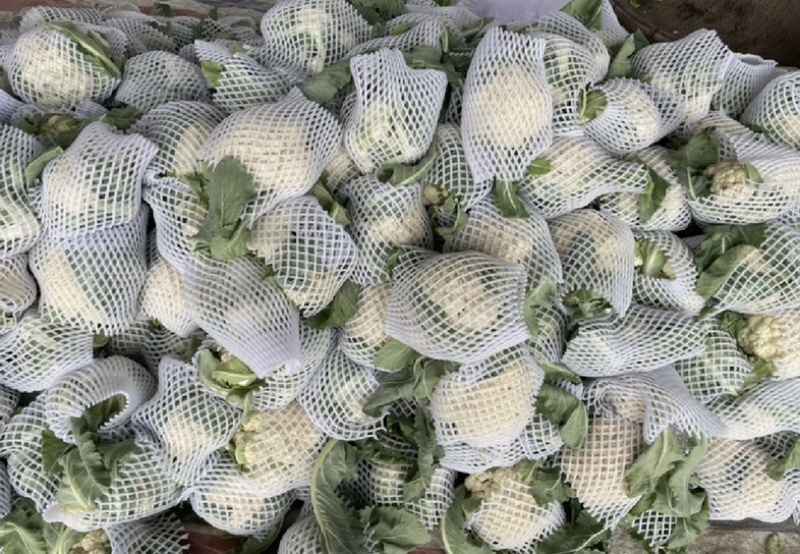 【今日推荐】有机花菜产地直发可视频看货对接全国