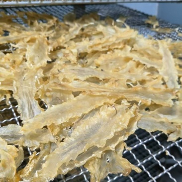 青岛鳕鱼花胶各规格齐全，足干肉厚，保质保量
