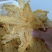青岛鳕鱼花胶各规格齐全，足干肉厚，保质保量