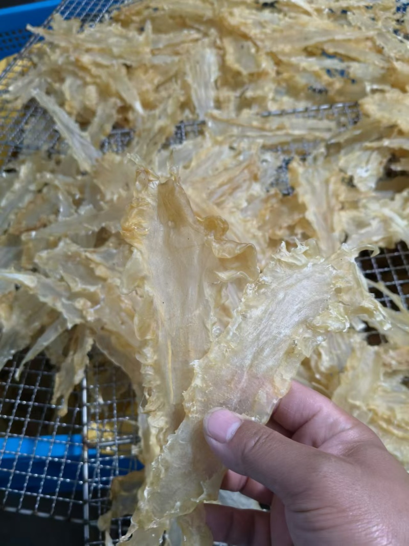 青岛鳕鱼花胶各规格齐全，足干肉厚，保质保量