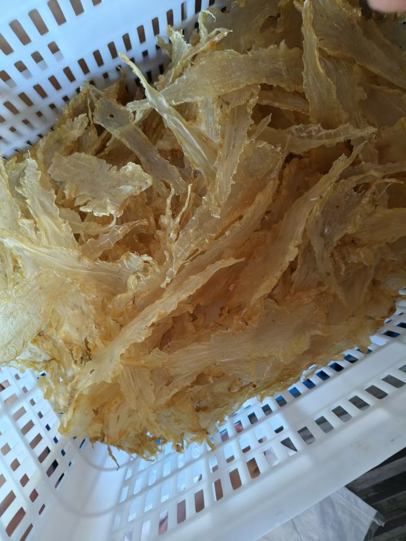 青岛鳕鱼花胶各规格齐全，足干肉厚，保质保量