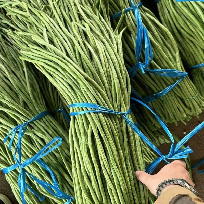 精品长条豆角，全国发货，保质保量，价格便宜，诚信经营