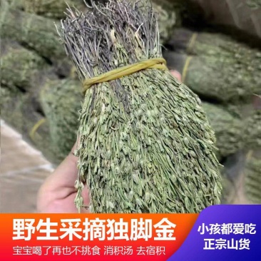野生独脚金疳积草小孩儿广西独角金新货新鲜晒干疳积草