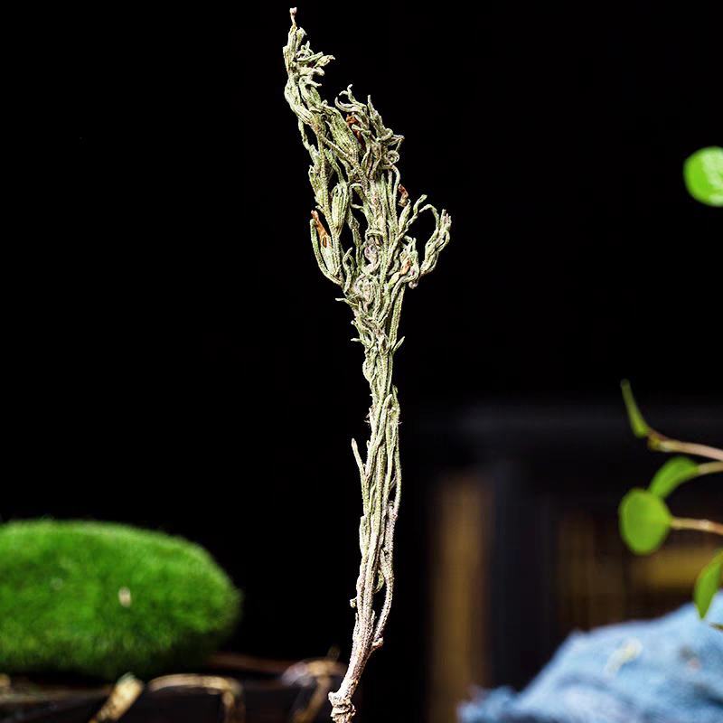 野生独脚金疳积草小孩儿广西独角金新货新鲜晒干疳积草