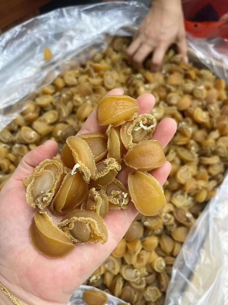 15头/60头/100头鲍鱼干