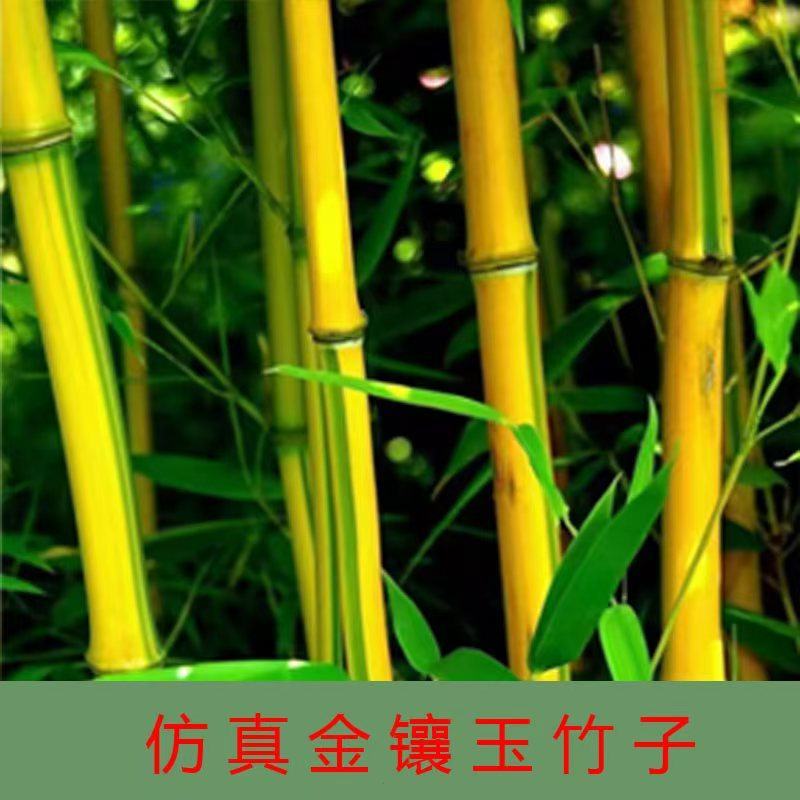 仿真竹金镶玉竹仿真绿植