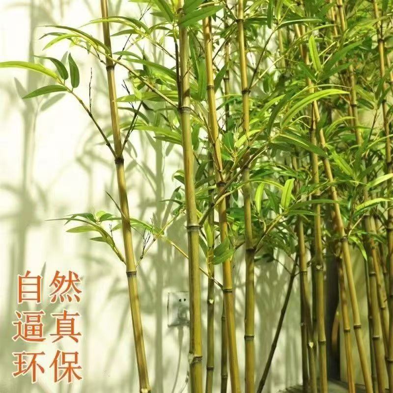 仿真竹金镶玉竹仿真绿植