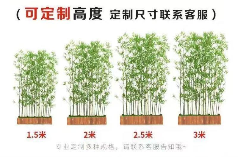 仿真竹金镶玉竹仿真绿植