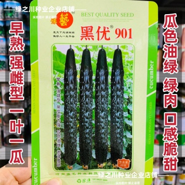豫艺黑优901黄瓜种子强雌油亮绿心绿肉密刺长黄瓜种子脆甜