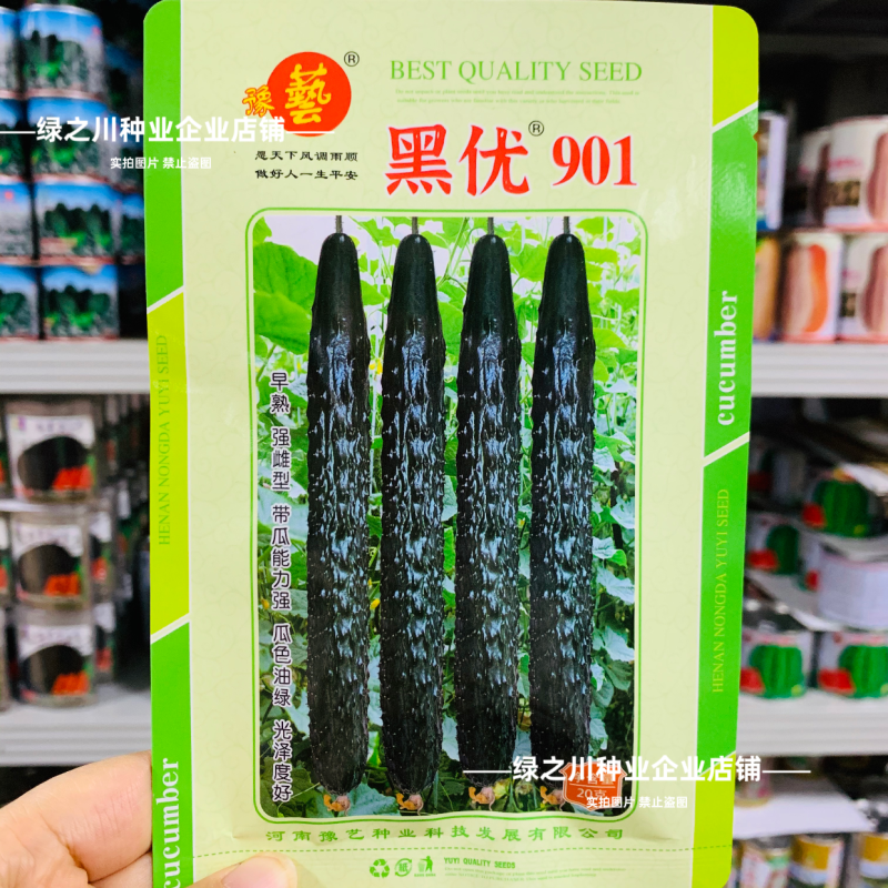 豫艺黑优901黄瓜种子强雌油亮绿心绿肉密刺长黄瓜种子脆甜