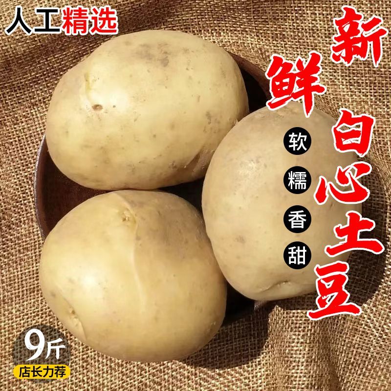 一件代发发新土豆2024现挖黄皮黄心土豆大个软糯马铃薯