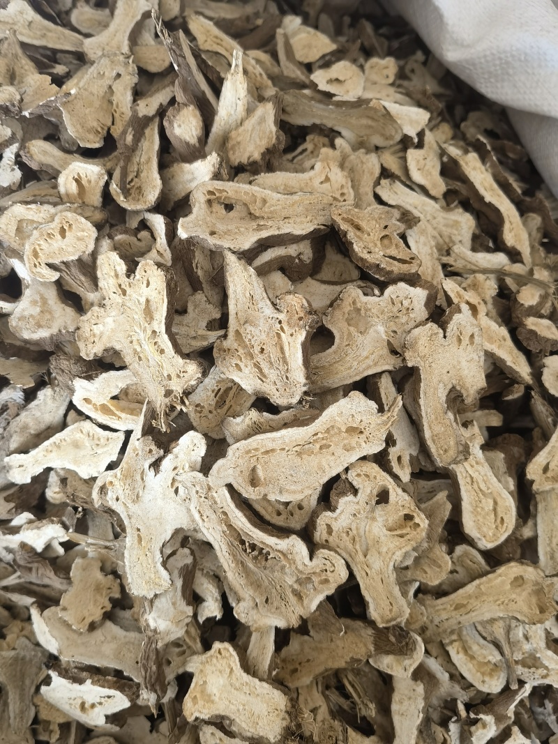 白术生浙白术大统，蜂窝明显，关书药业批发中药材