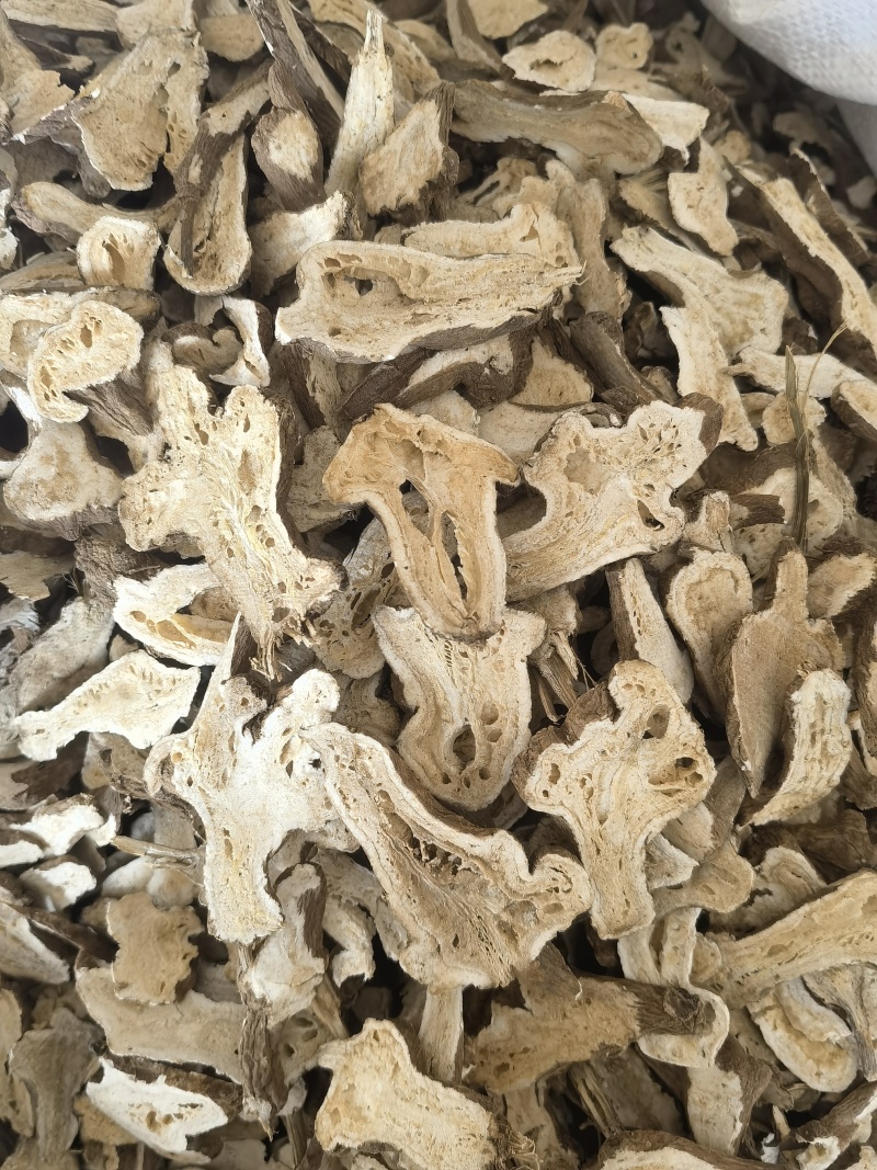 白术生浙白术大统，蜂窝明显，关书药业批发中药材