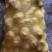 土豆陇七