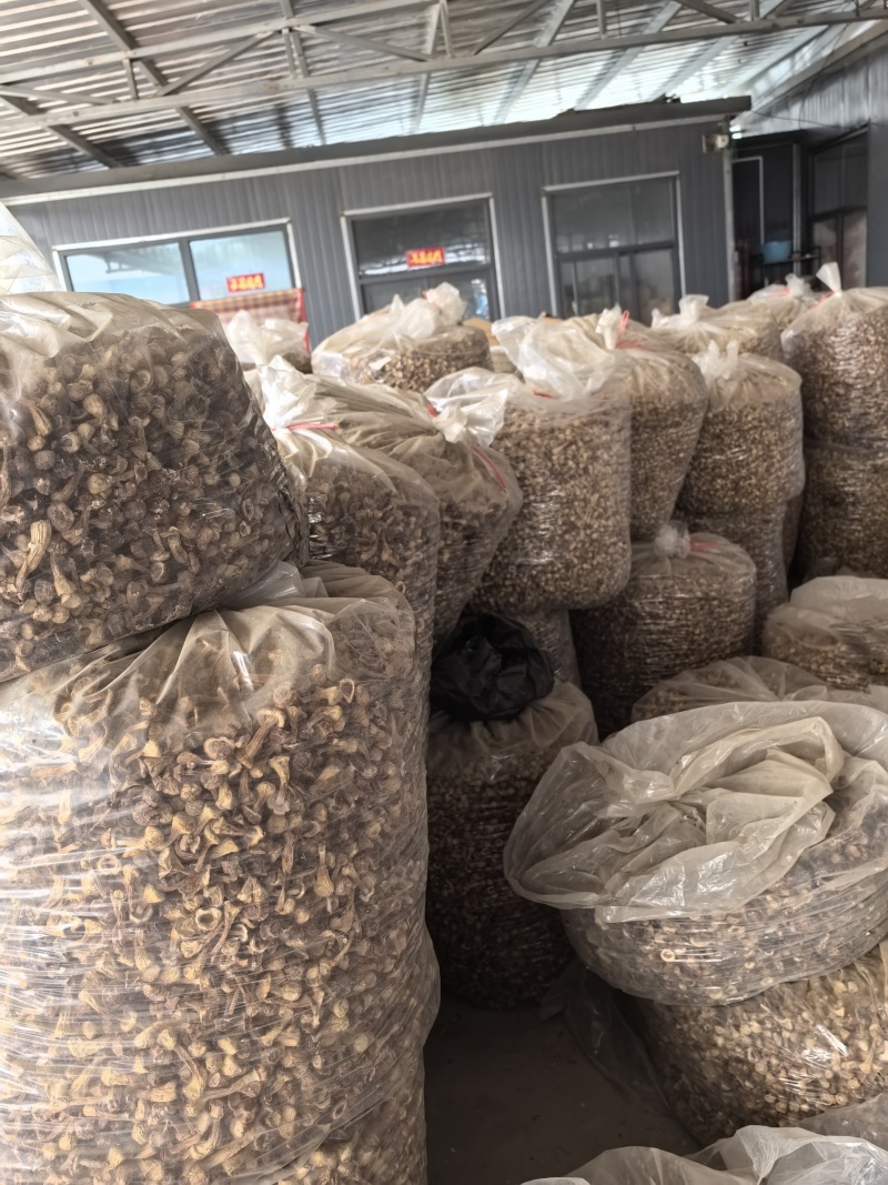 自家种植姬松茸，本色姬松茸中个通货常年有货源可开发票