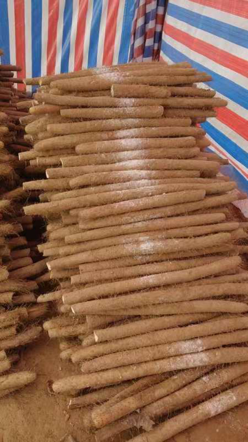 精品白玉山药，品质保证，产地直发，服务到位，价格优惠