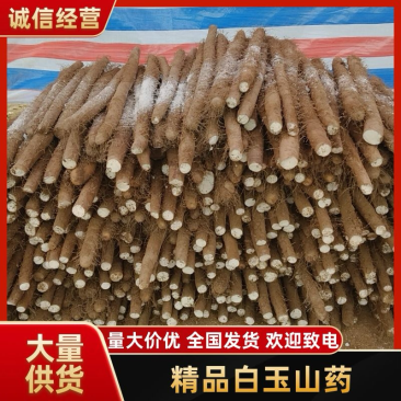 精品白玉山药，入库货，品质保证，价格优惠，服务周到