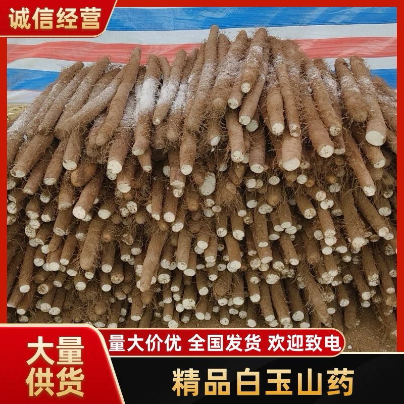 精品白玉山药，入库货，品质保证，价格优惠，服务周到
