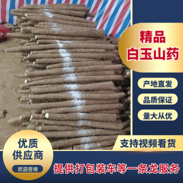 白玉山药主产区，产地直发，品质保证，价格优惠，服务周到
