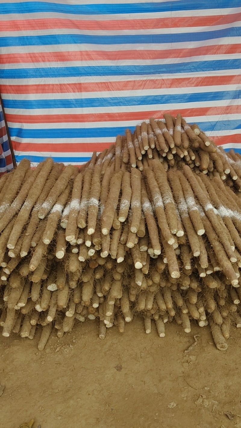 精品白玉山药，品质保证，价格优惠，产地直发，服务周到