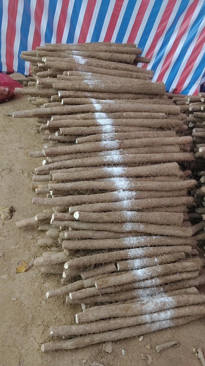 精品白玉山药，品质保证，价格优惠，产地直发，服务周到