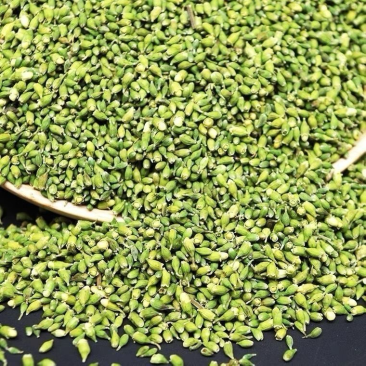 槐实/槐米/槐花米/槐籽/槐豆/可泡茶