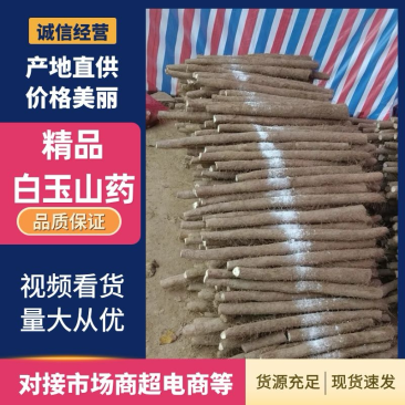 精品白玉山药，产地直发，品质保证，服务到位，价格优惠