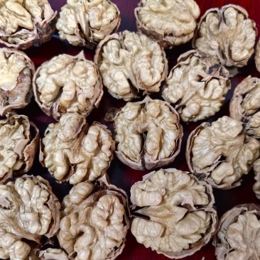 甘肃庆阳核桃