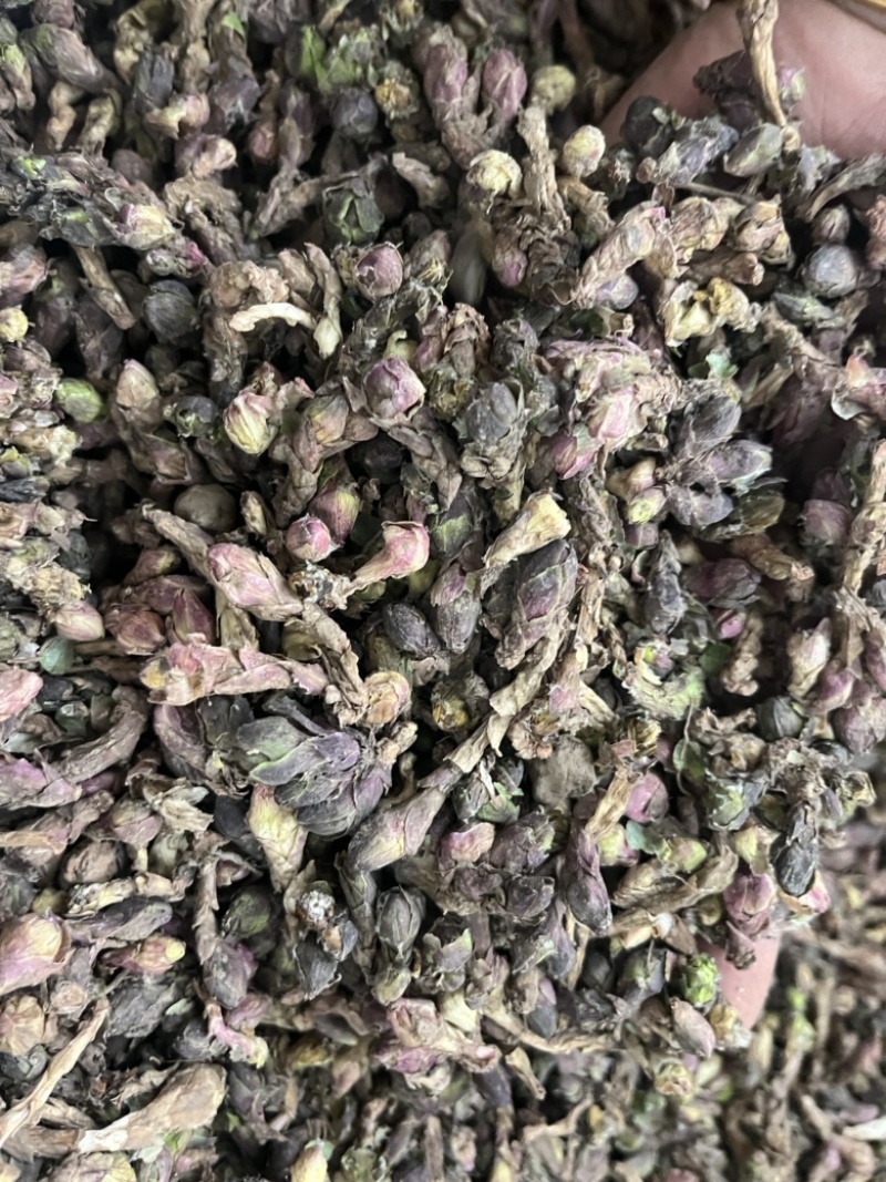 【文斌药业】生款冬花炙款冬花颜色鲜亮货好干净