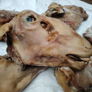 火烧羊头