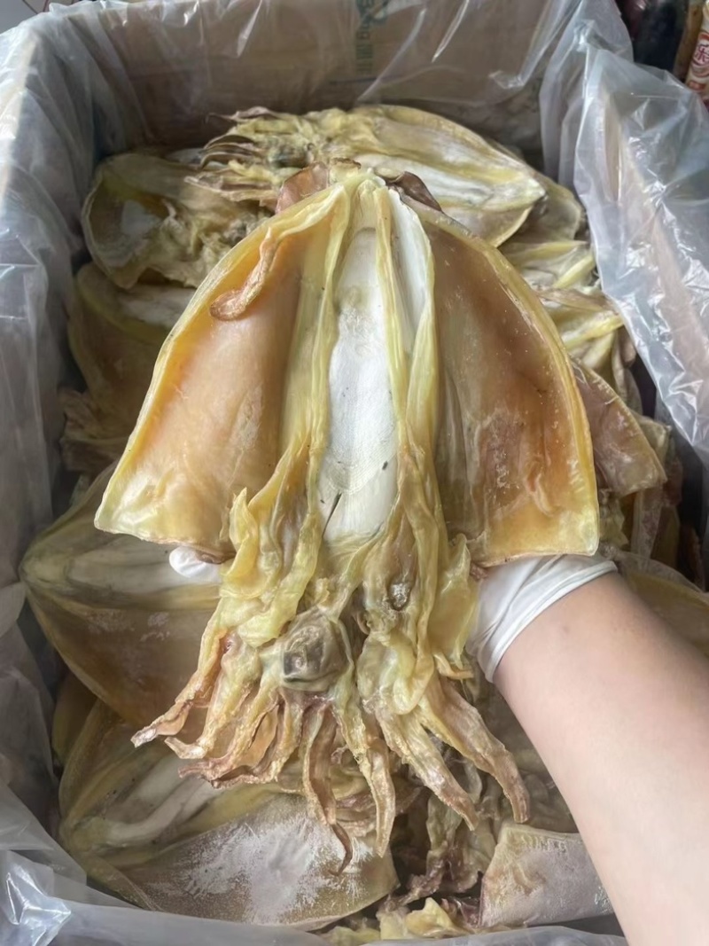 墨鱼干