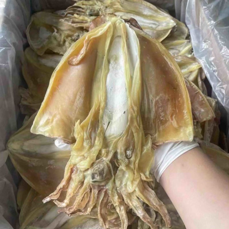 墨鱼干