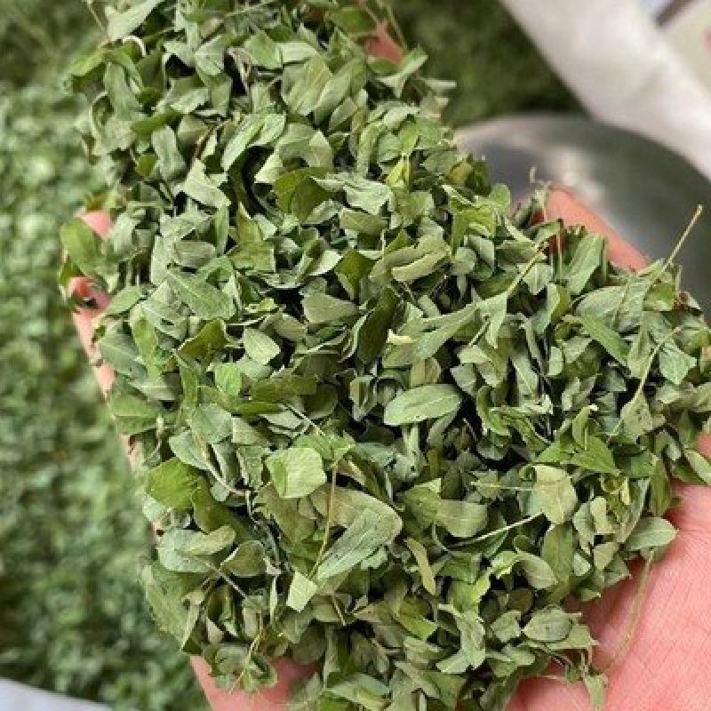 相思叶子鸡骨草