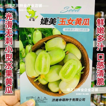 婕美玉女黄瓜种子山东迷你小黄瓜种子光滑无刺蔬菜水果生吃