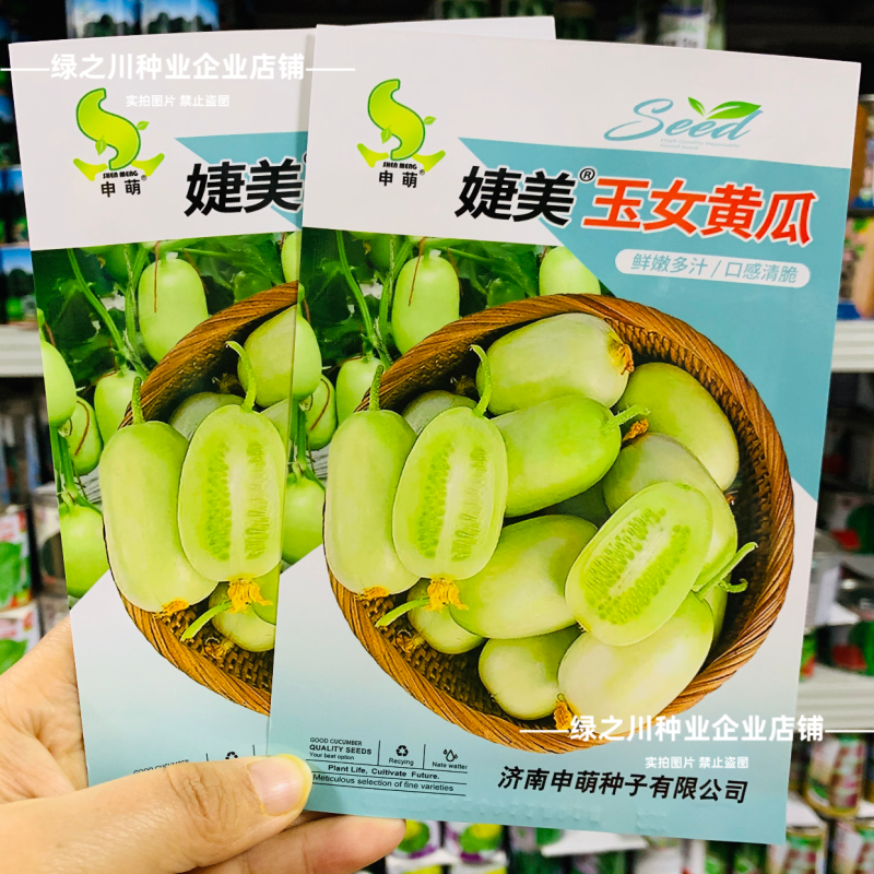 婕美玉女黄瓜种子山东迷你小黄瓜种子光滑无刺蔬菜水果生吃