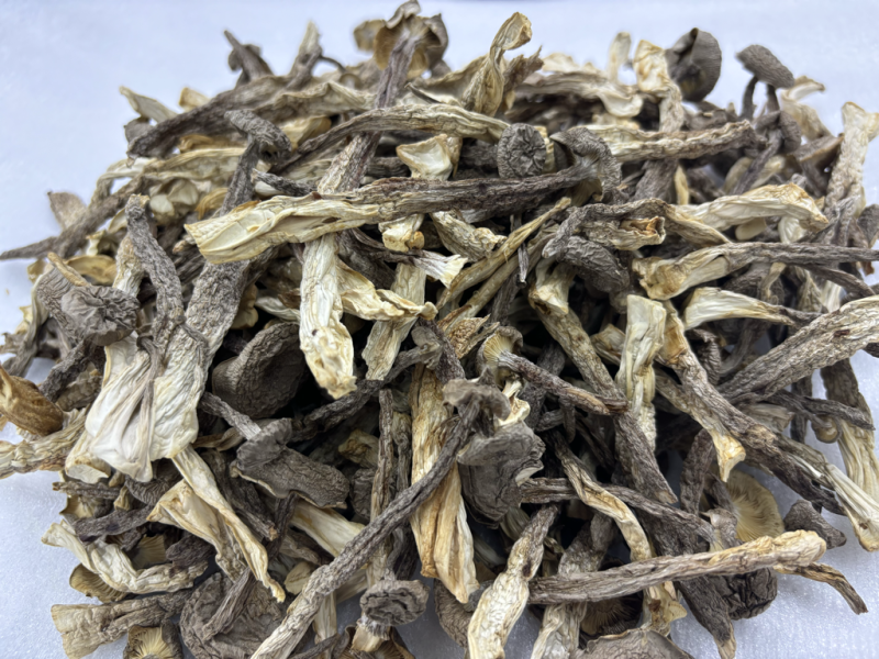 鹿茸菇