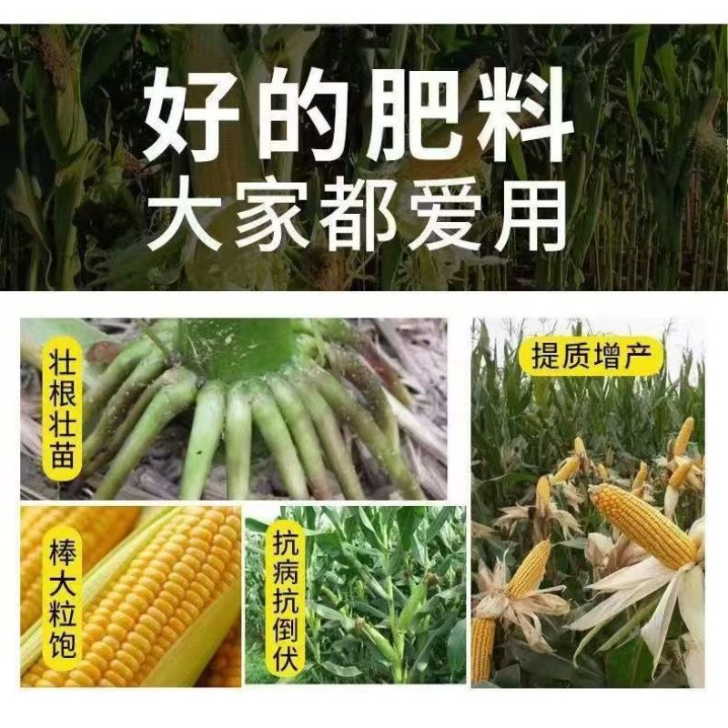 源头厂家玉米专用缓控释肥抗重茬籽粒饱满茎秆粗壮抗病抗倒