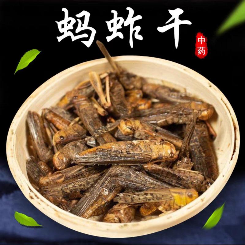 蚂蚱干中药材蝗虫蚱蜢飞蝗新货干净