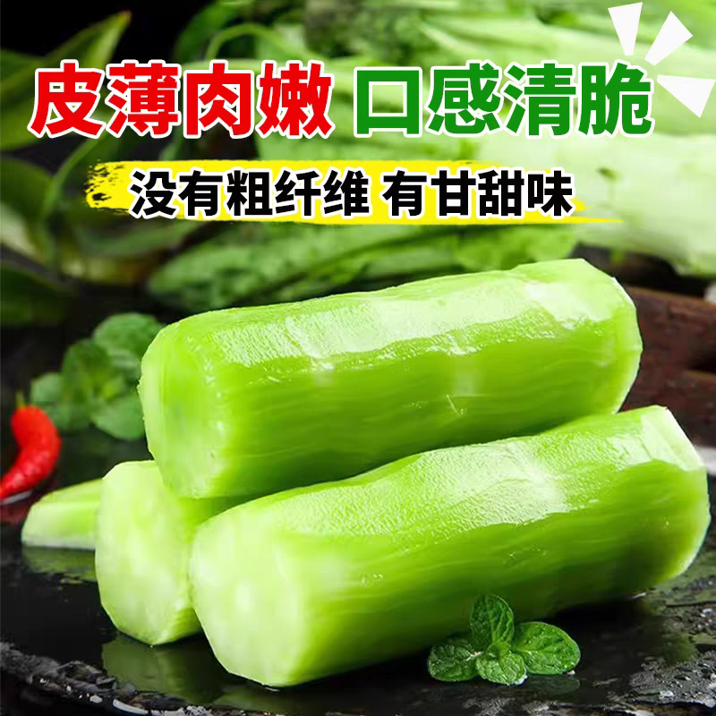 【实力】青皮莴笋山东莴笋产地直发量大货优保质保量